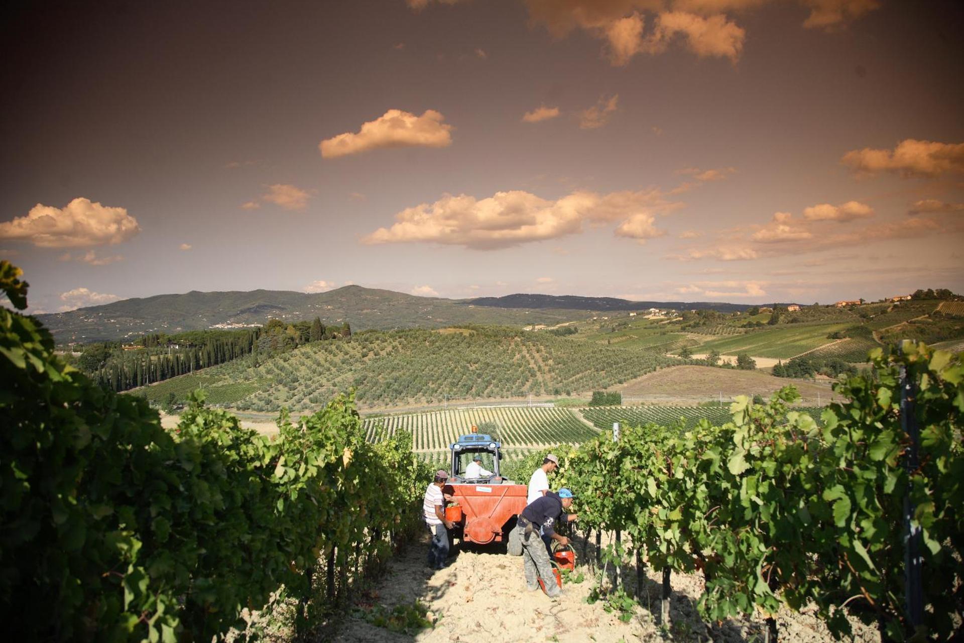 Boutique Wine Resort - Villa Dianella - Photo 68