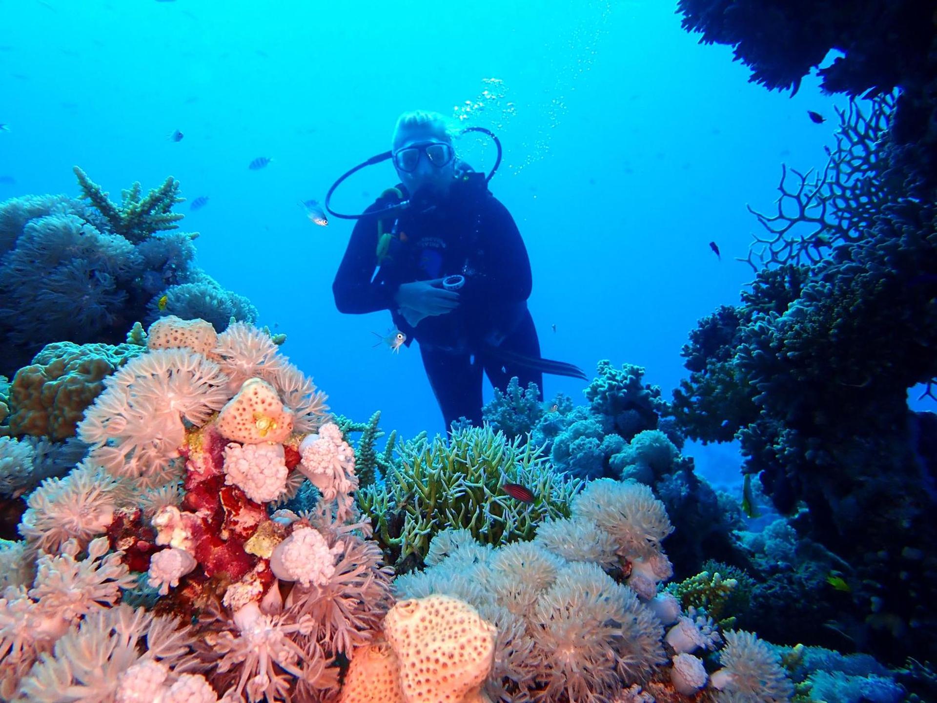 Steigenberger Golf Resort El Gouna - Photo 38