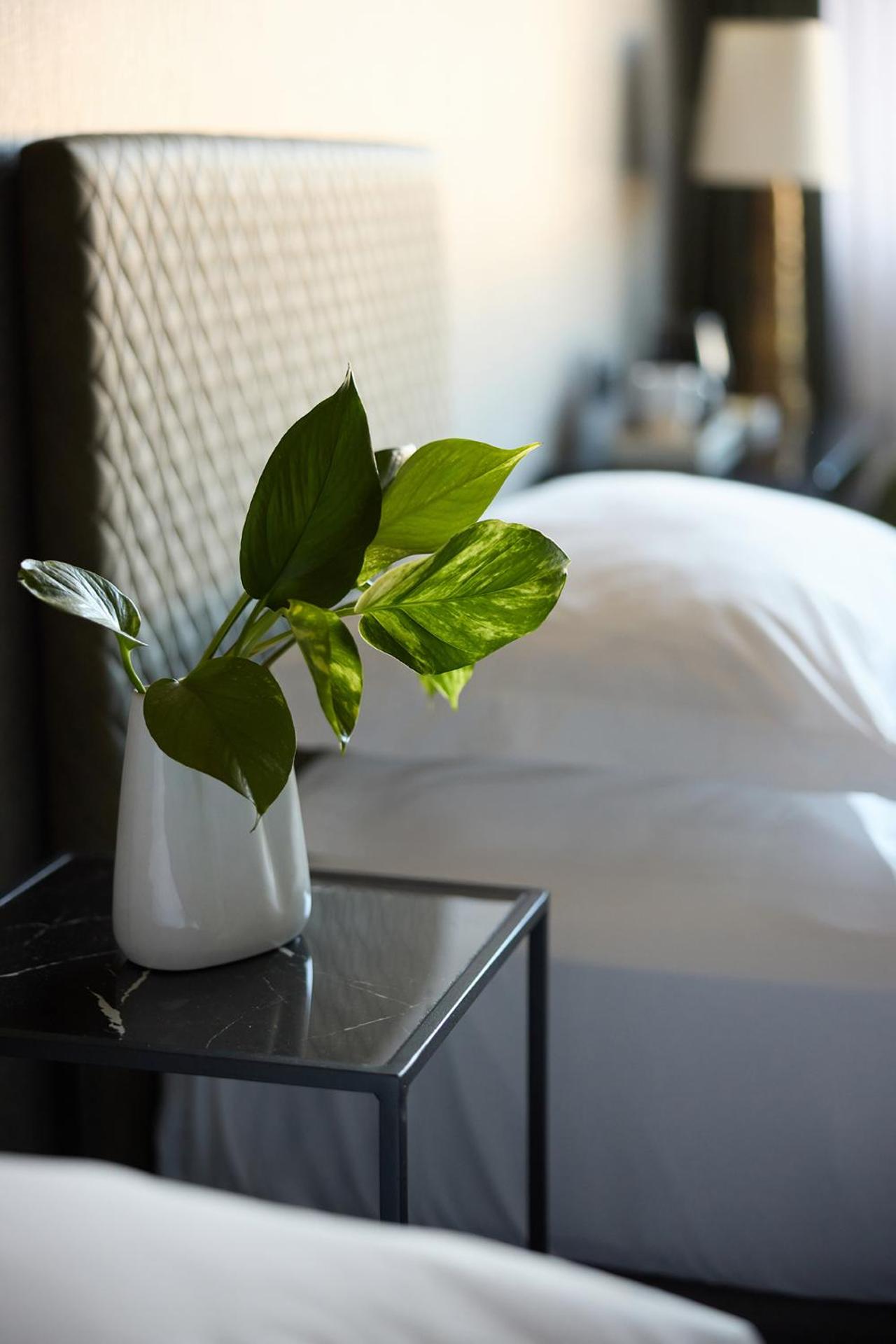 President Hotel Athens - Photo 107