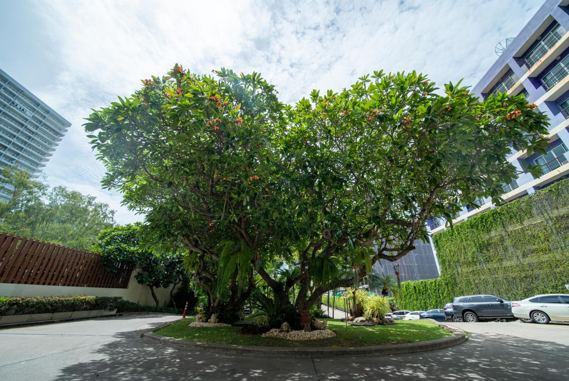 The Bayview Hotel Pattaya - Photo 91