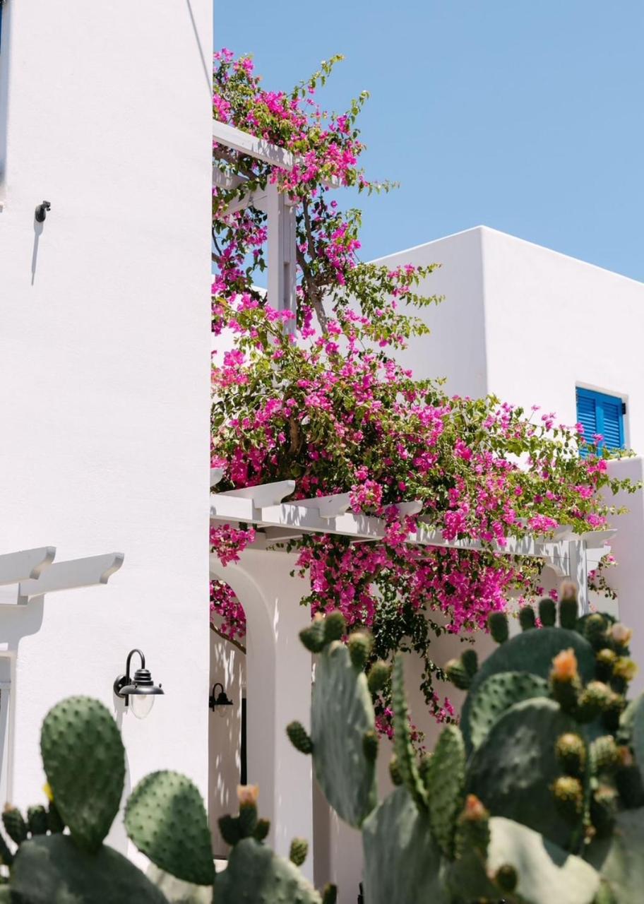 Hippocampus Hotel - Photo 25