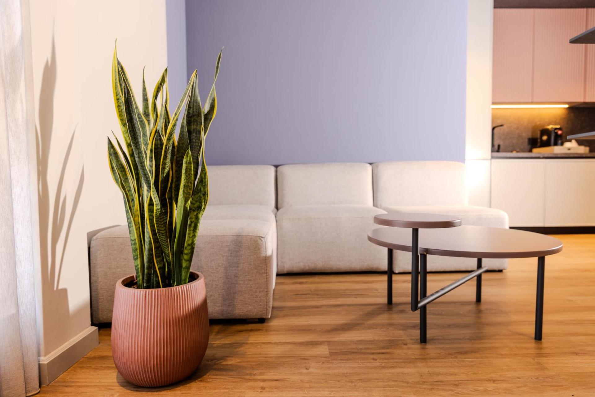 Si Hotel Tirana - Photo 34