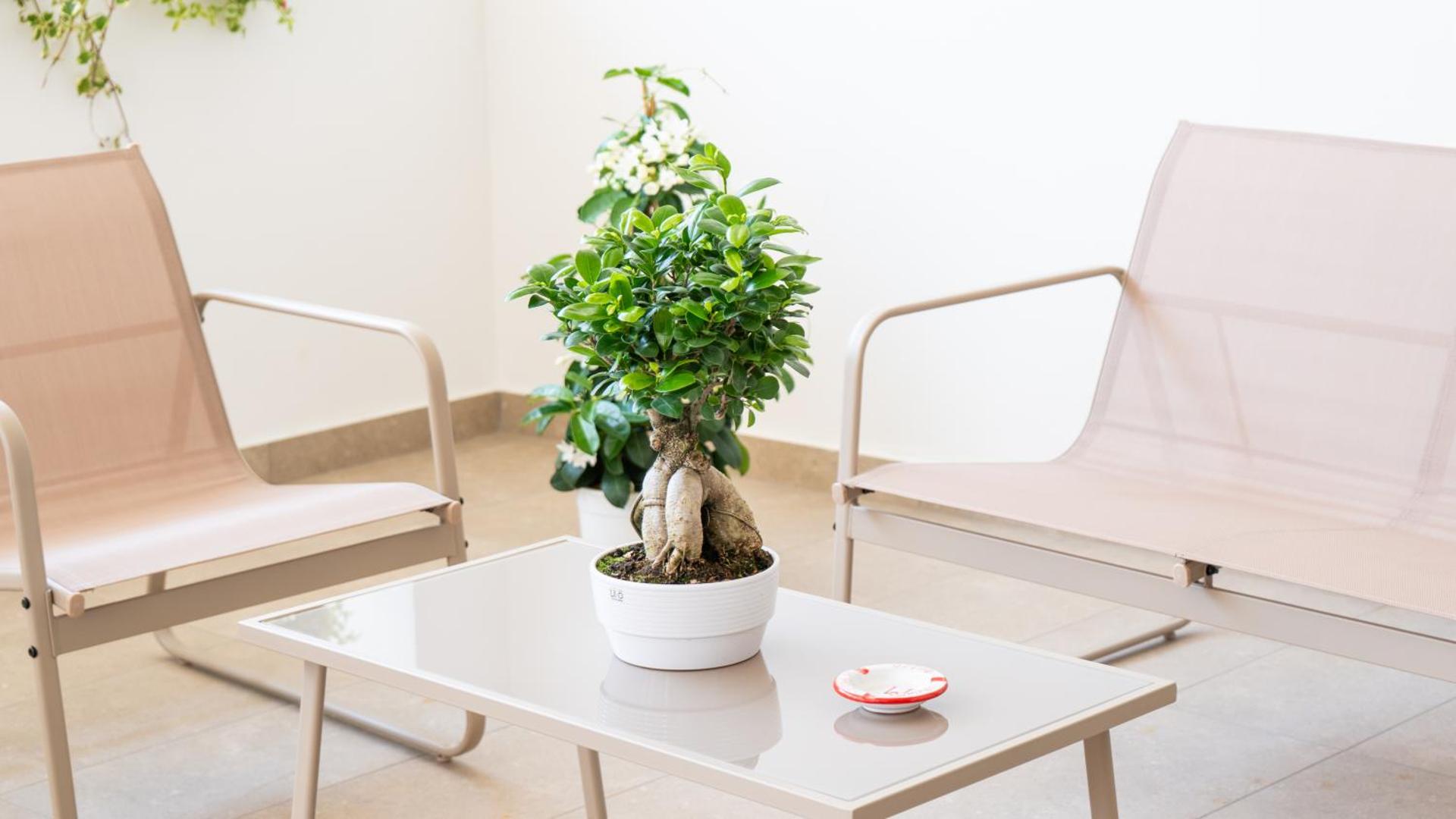 Hotel Diana - Photo 9