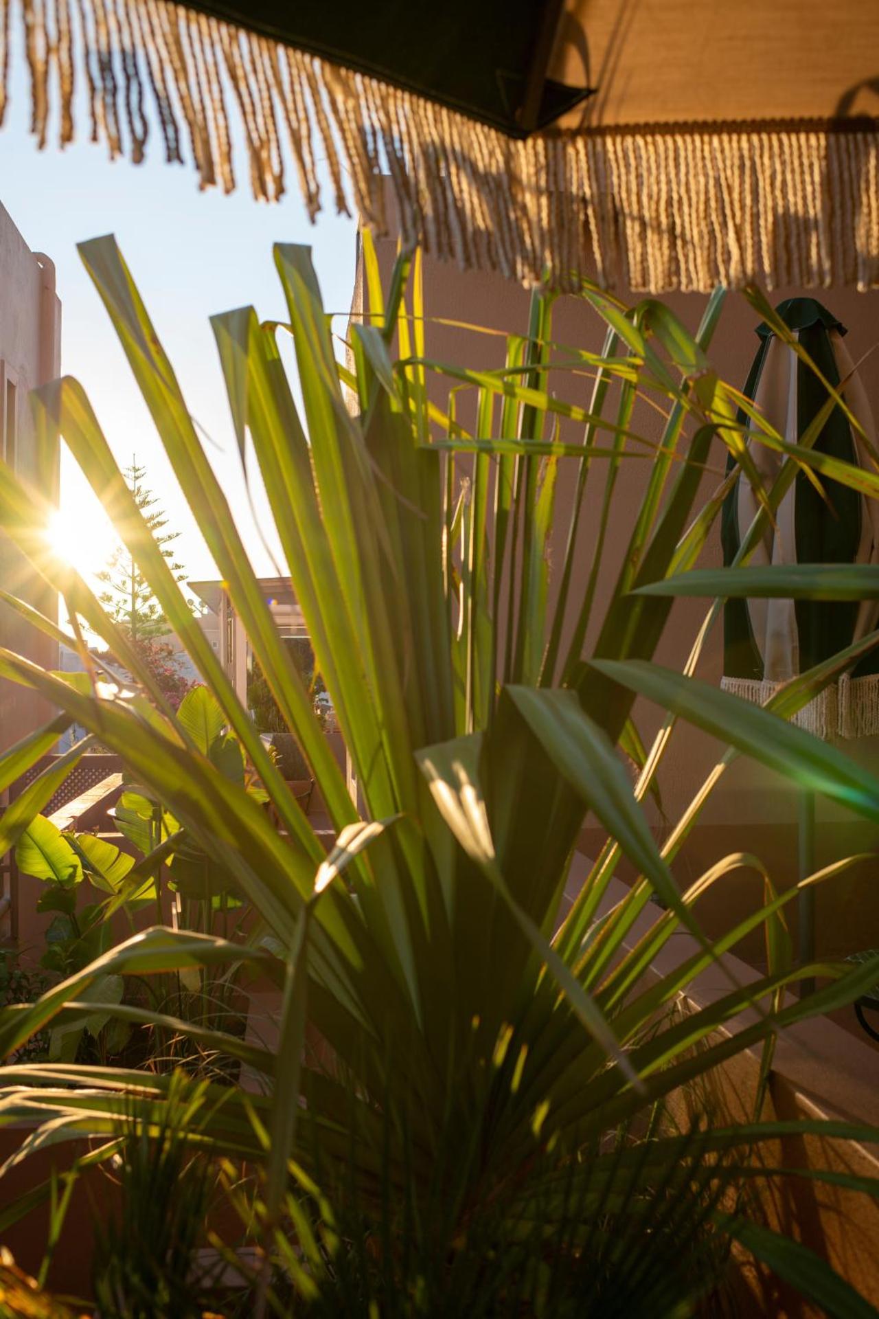 Terra Verde Oia by K&K - Photo 47