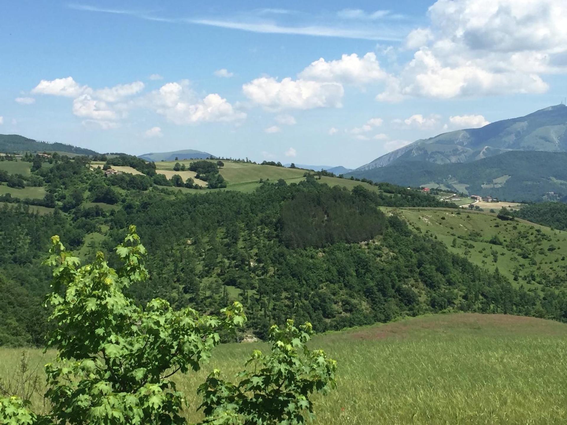 Farmhouse in Apecchio with Swimming Pool, Terrace, Garden - Photo 31