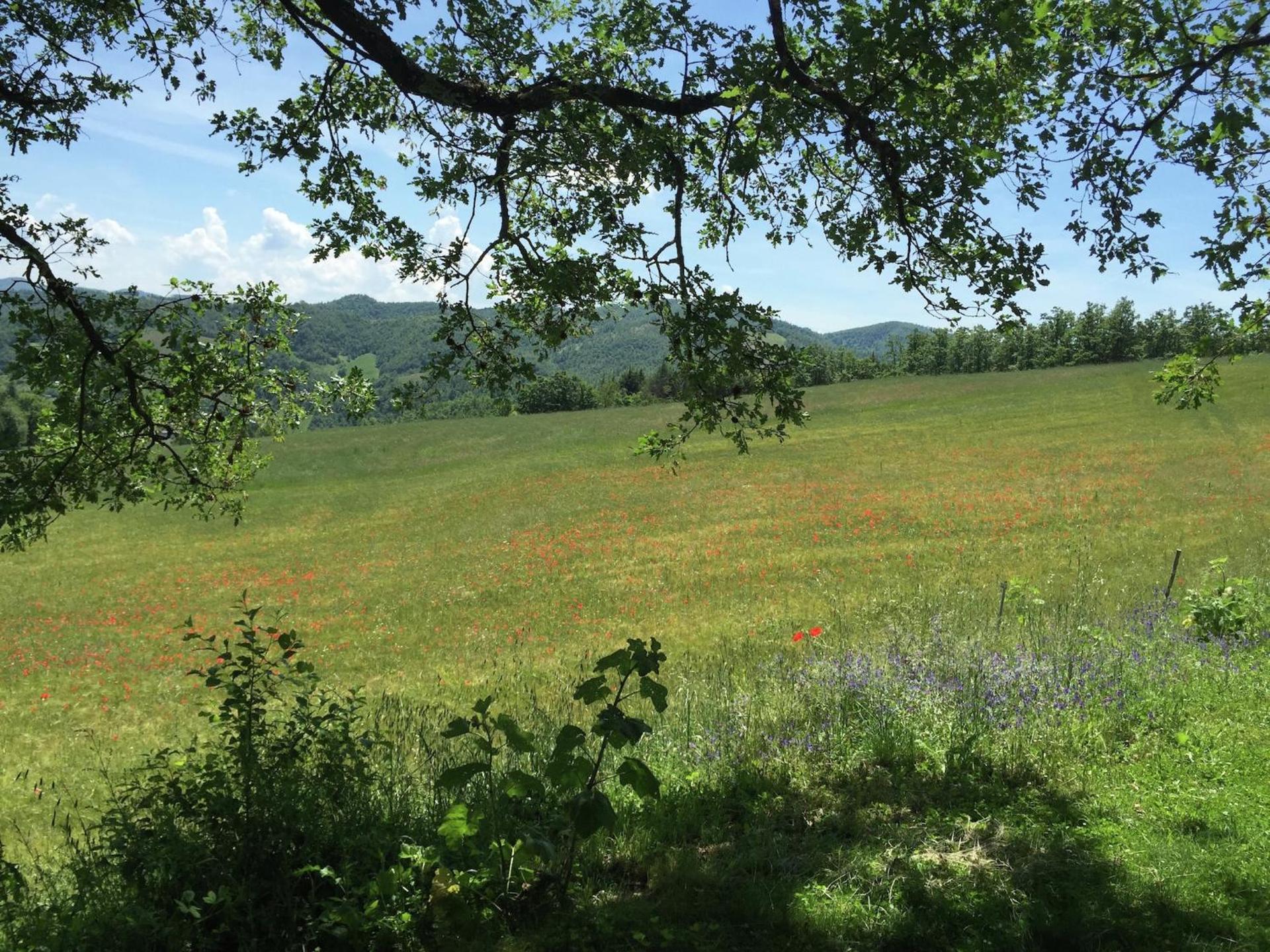 Farmhouse in Apecchio with Swimming Pool, Terrace, Garden - Photo 32