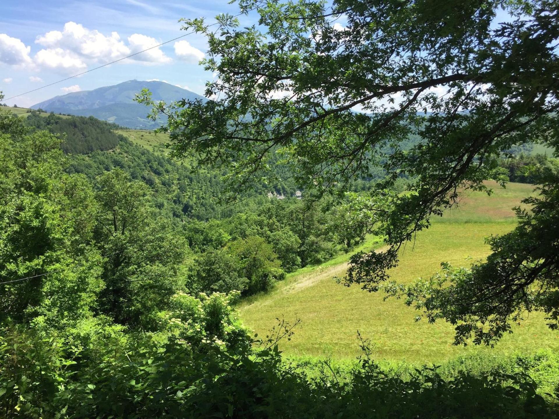 Farmhouse in Apecchio with Swimming Pool, Terrace, Garden - Photo 51