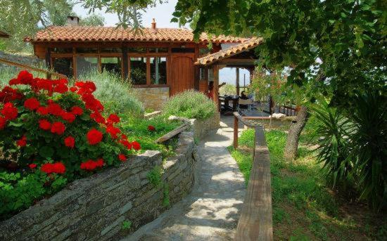 Guesthouse Apanemia - Photo 11