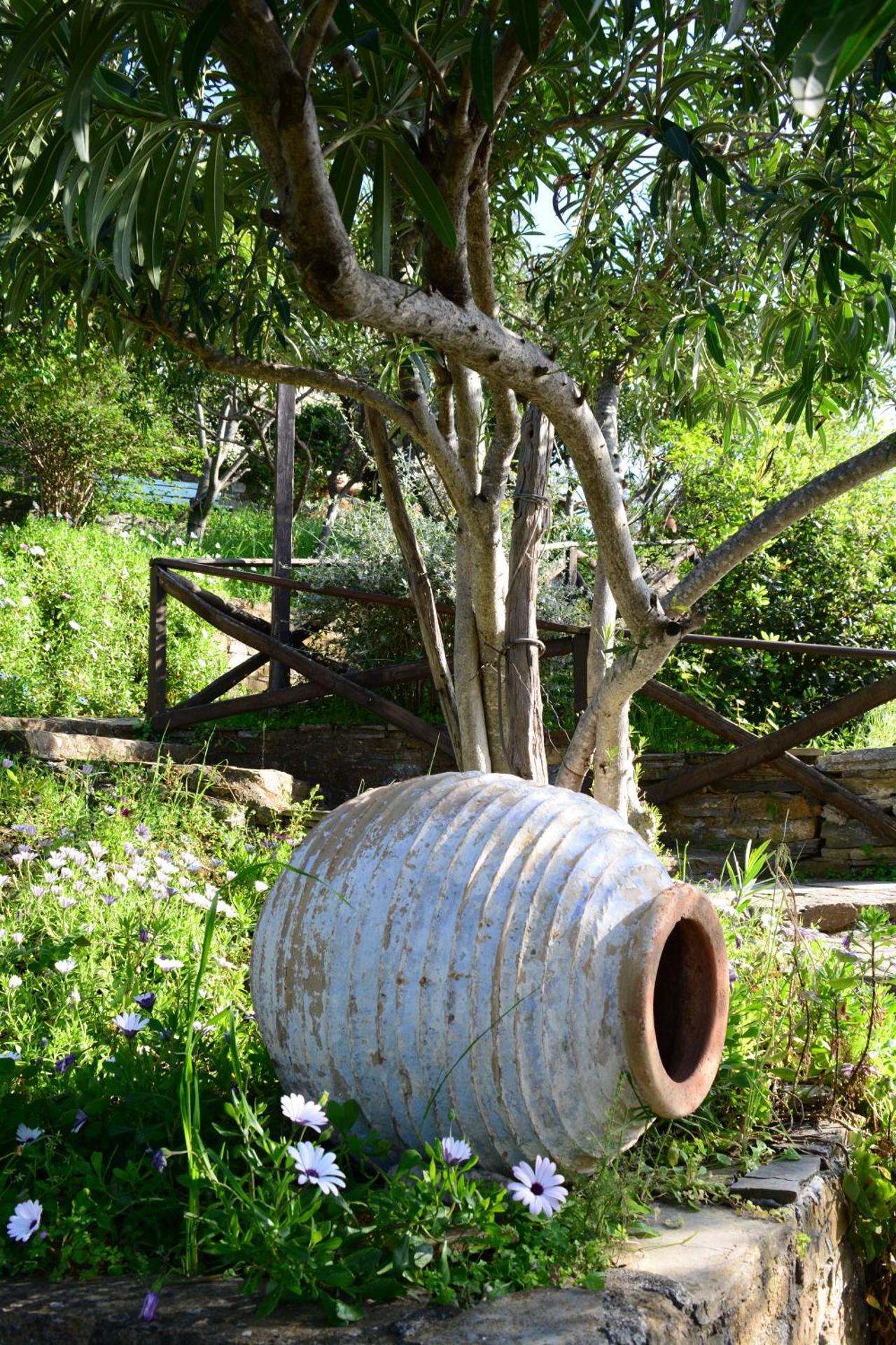 Guesthouse Apanemia - Photo 2