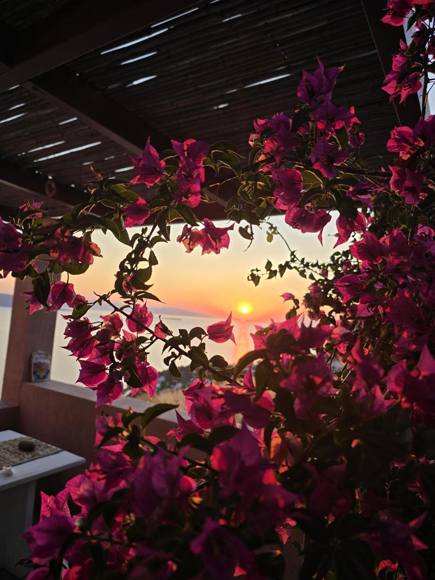 La Casa Del Sol Villa Aegina - Photo 40