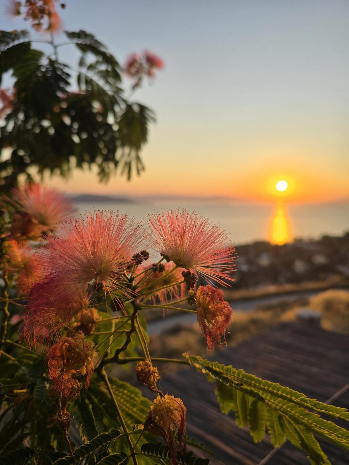 La Casa Del Sol Villa Aegina - Photo 41