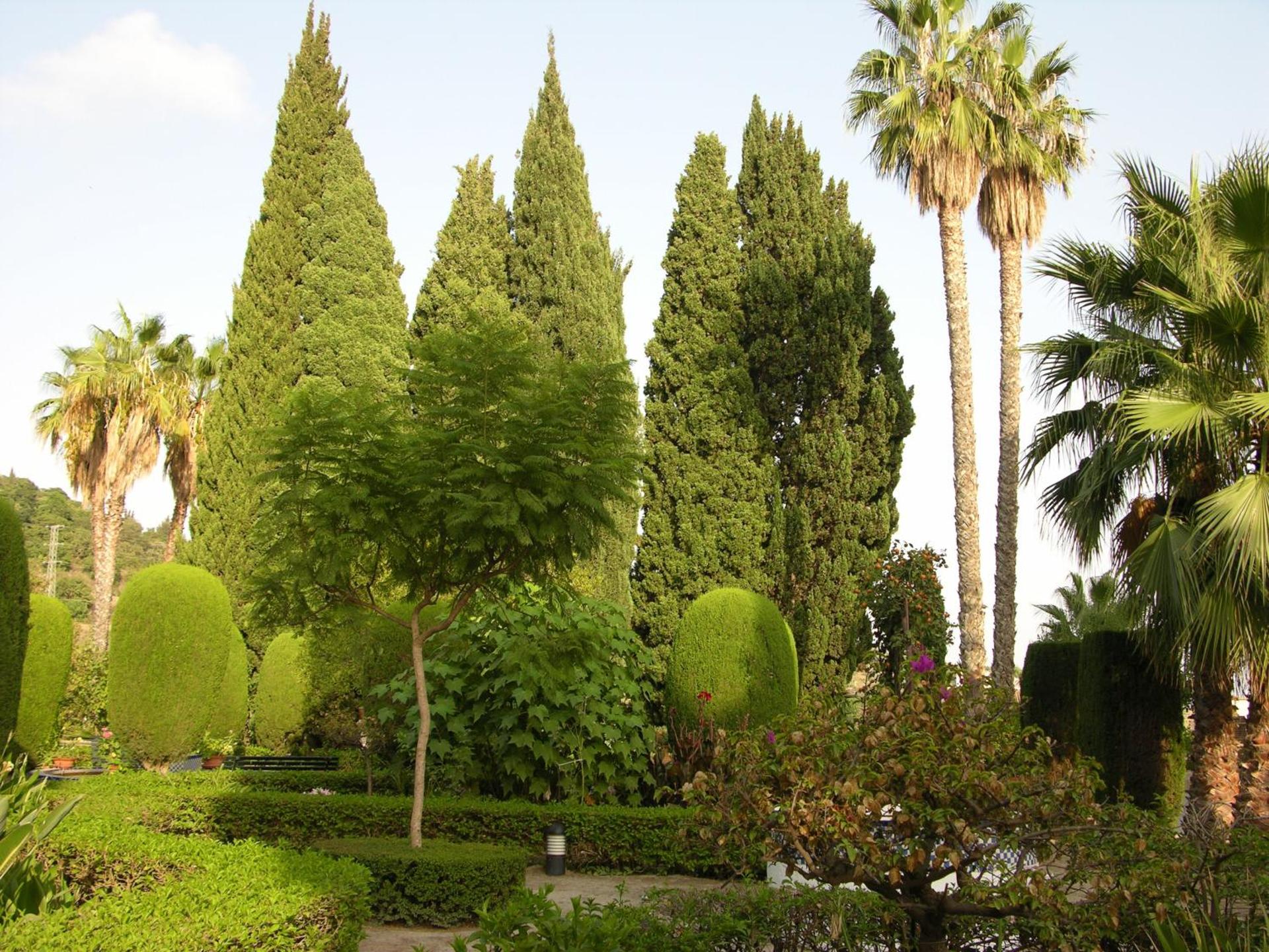 Casa de los Bates - Photo 66