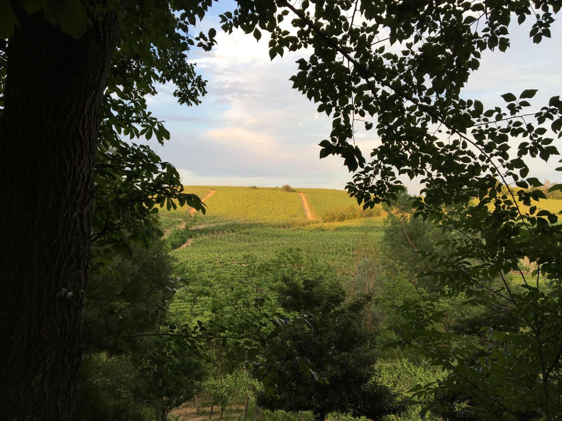 Agriturismo Relais "il Bricco" - Photo 30