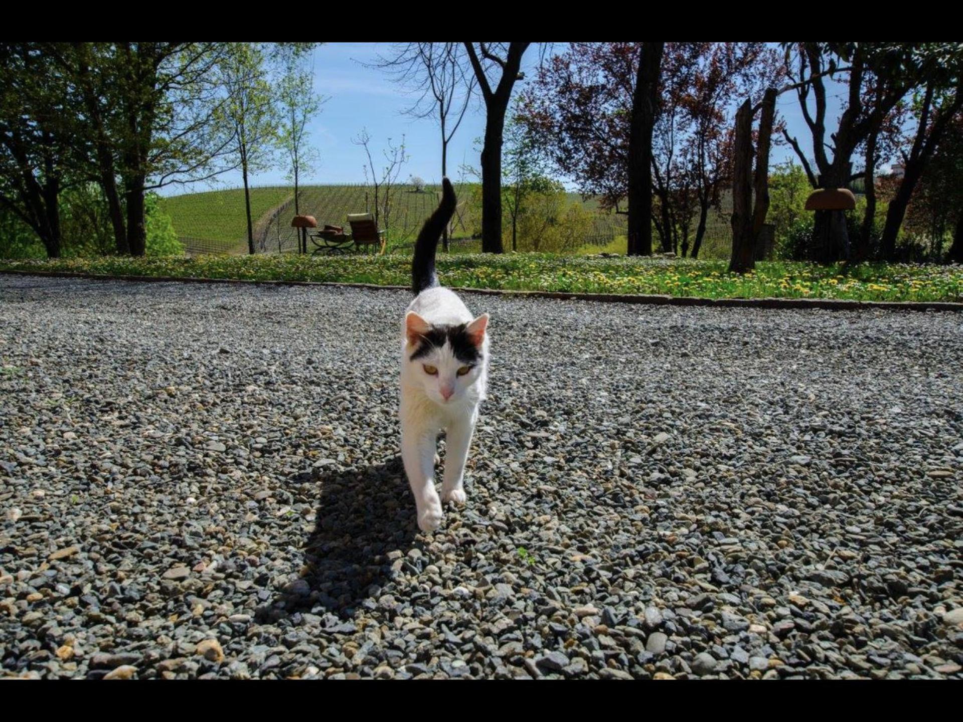 Agriturismo Relais "il Bricco" - Photo 32