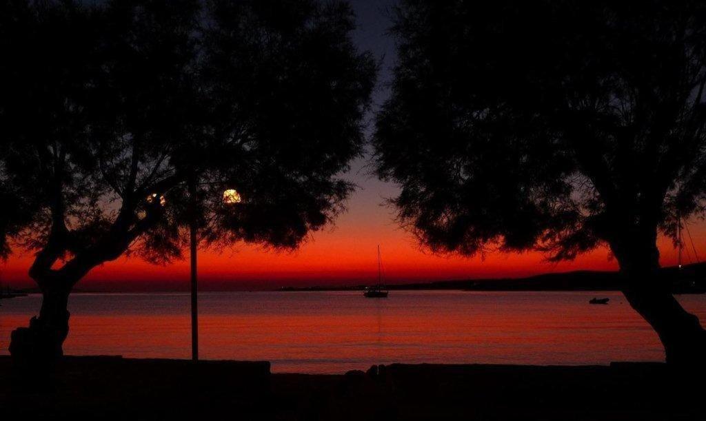 Hotel Paros - Photo 42