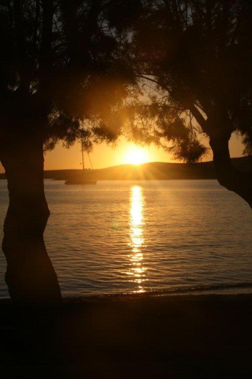 Hotel Paros - Photo 25