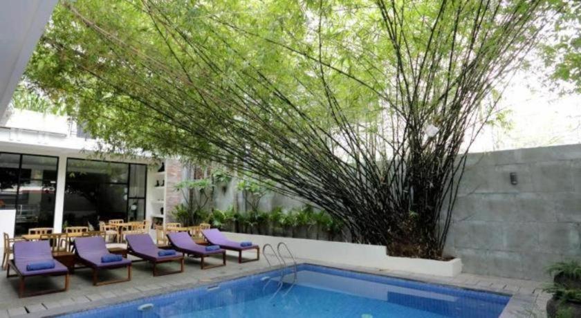 Bamboo9 Boutique - Photo 138