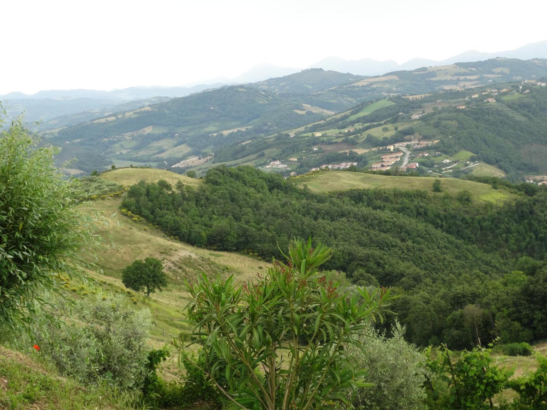 Agriturismo La Terrazza - Photo 19