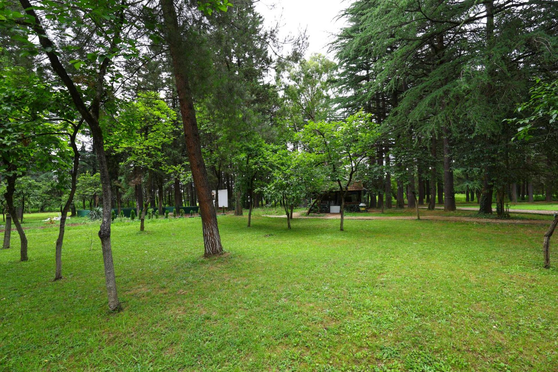 Park Hotel Imeri kutaisi - Photo 78