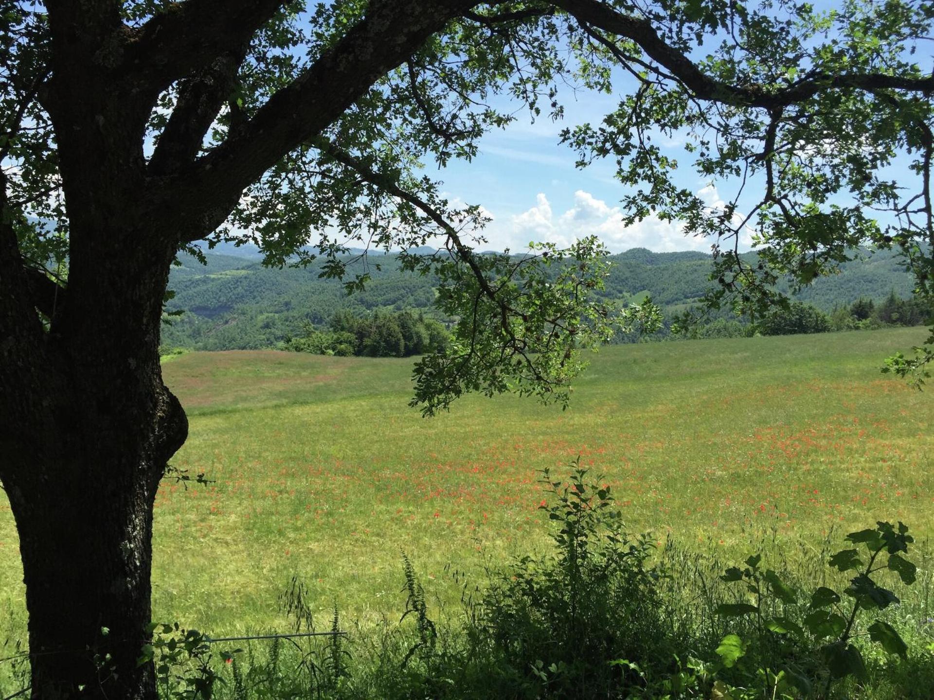 Farmhouse in Apecchio with Swimming Pool, Terrace, Garden - Photo 100