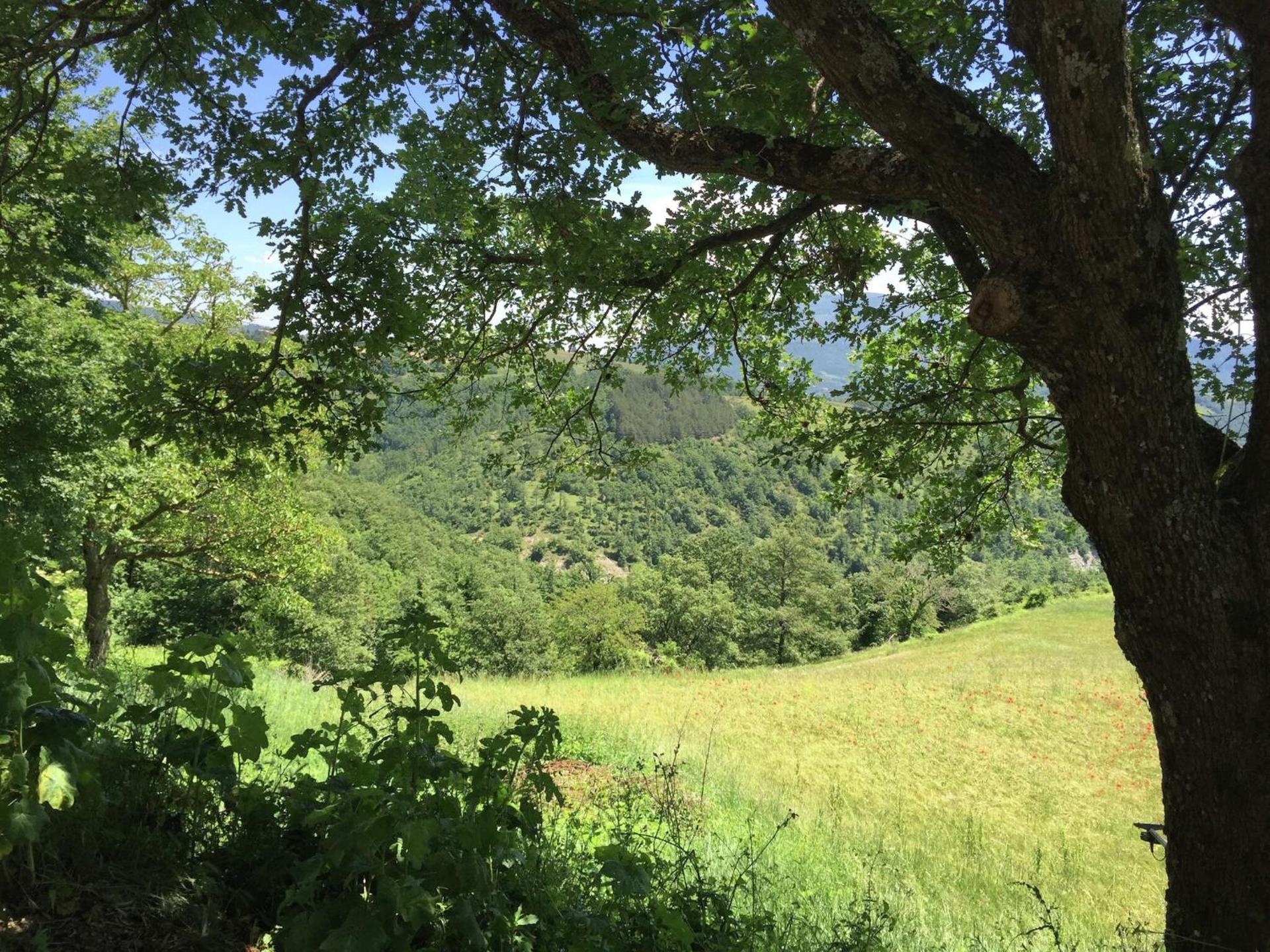 Farmhouse in Apecchio with Swimming Pool, Terrace, Garden - Photo 50