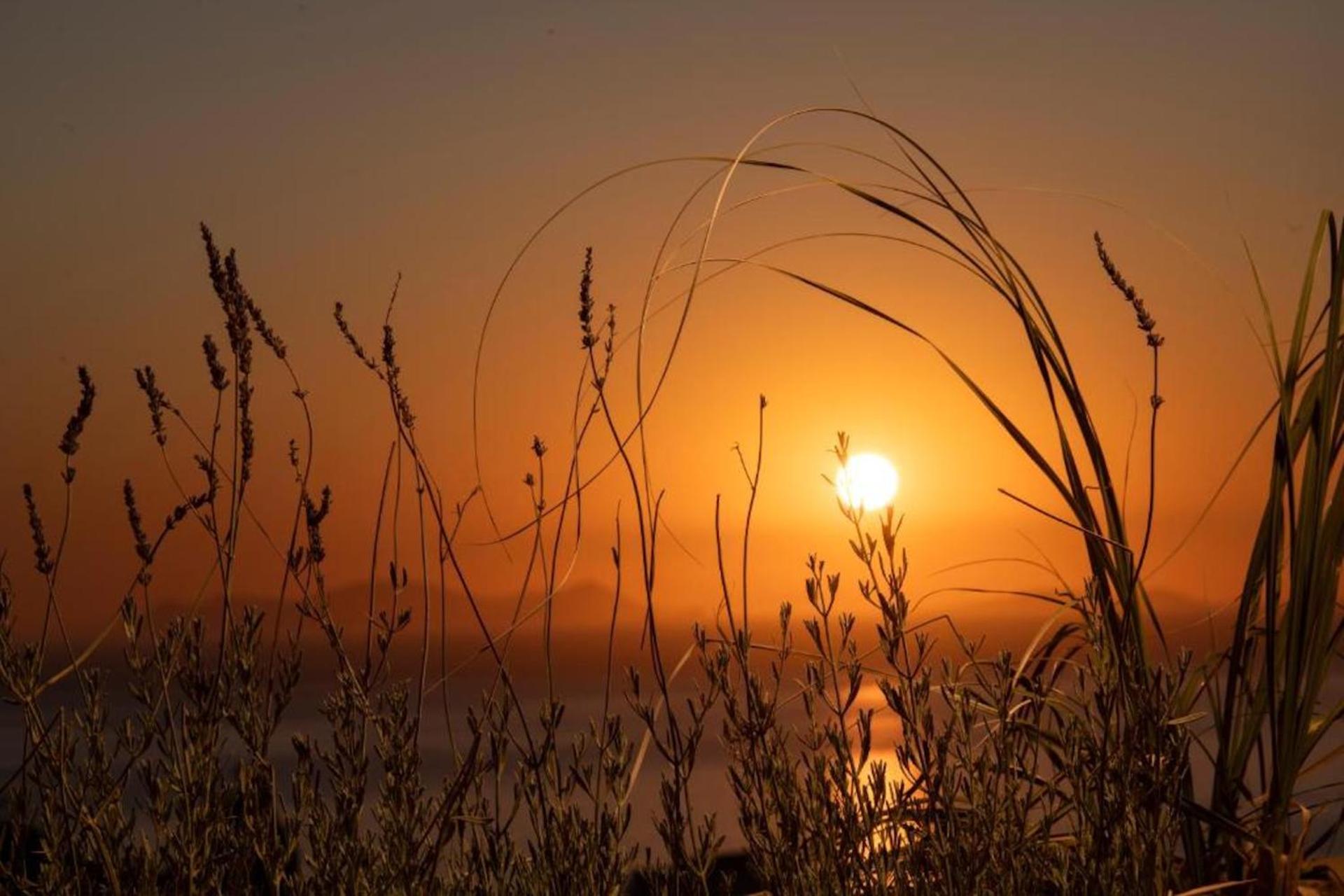 Terra Verde Oia by K&K - Photo 192