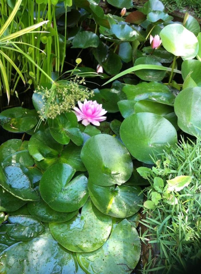 Villa Dei Misteri - Photo 19