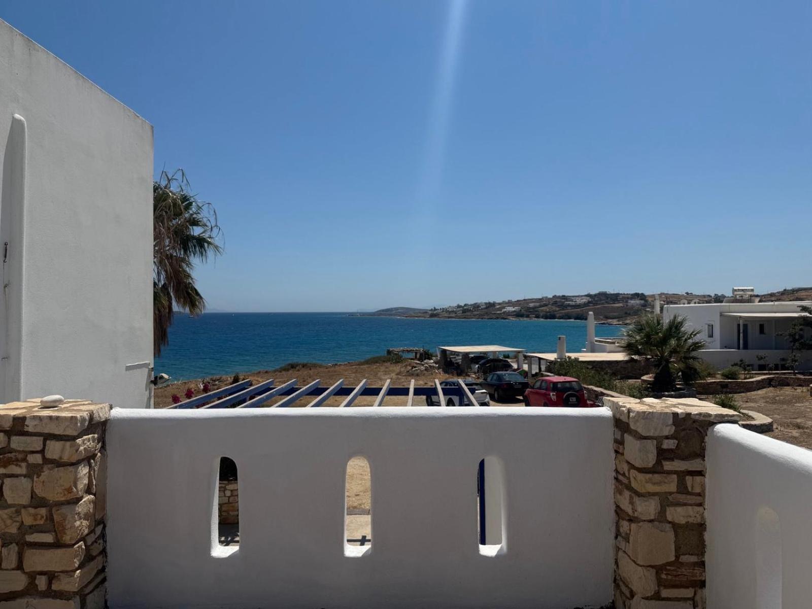 Coral Nest - Photo 4