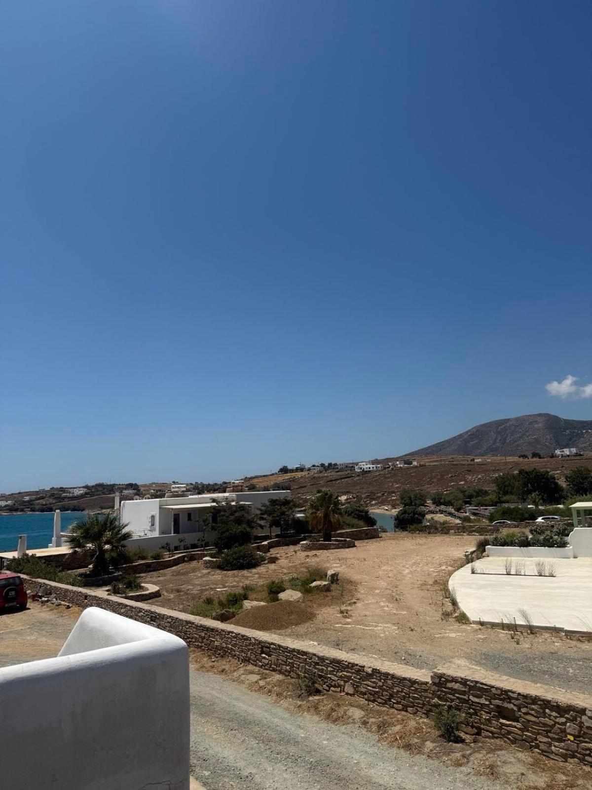 Coral Nest - Photo 5