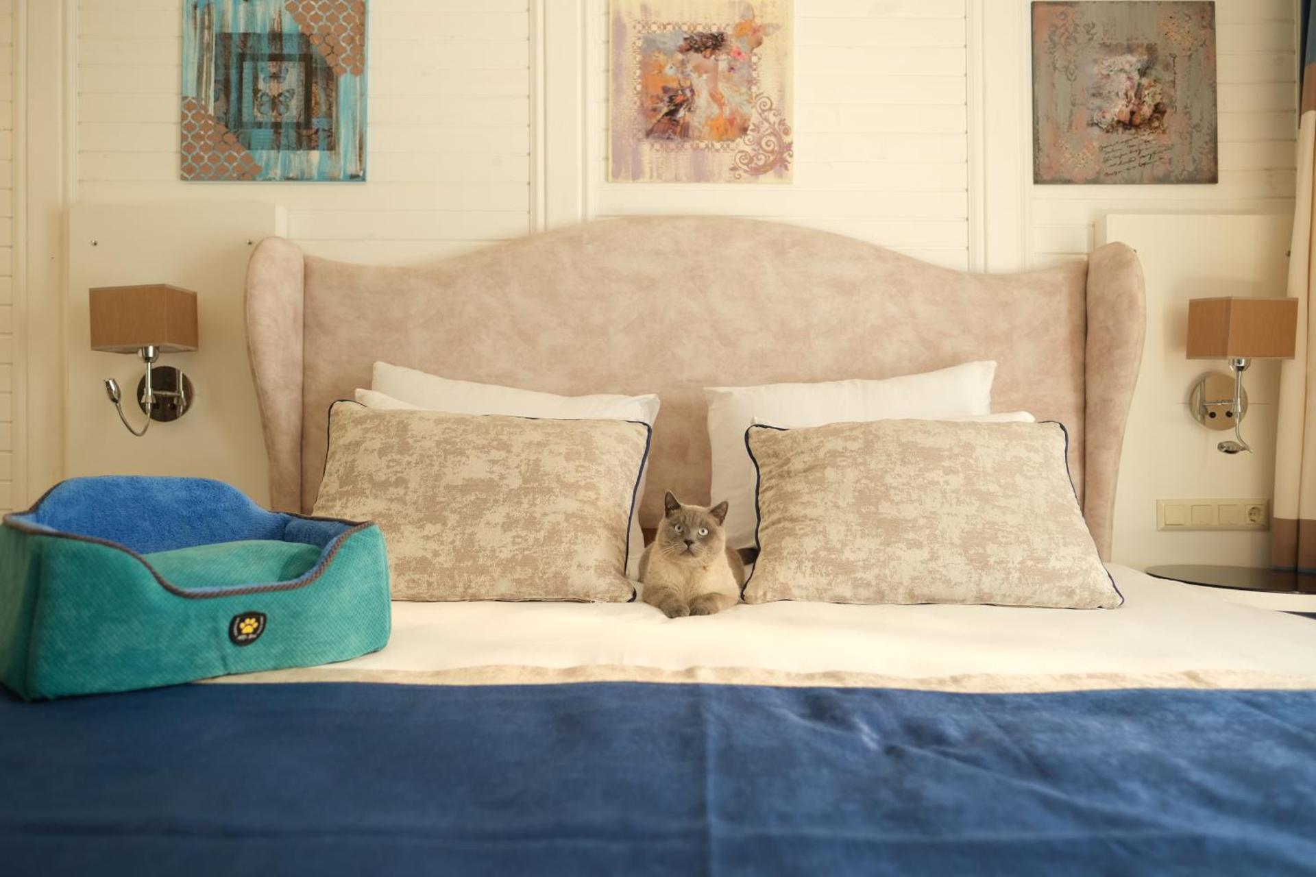 Nirvana Dolce Vita - Ultra All Inclusive - Photo 130