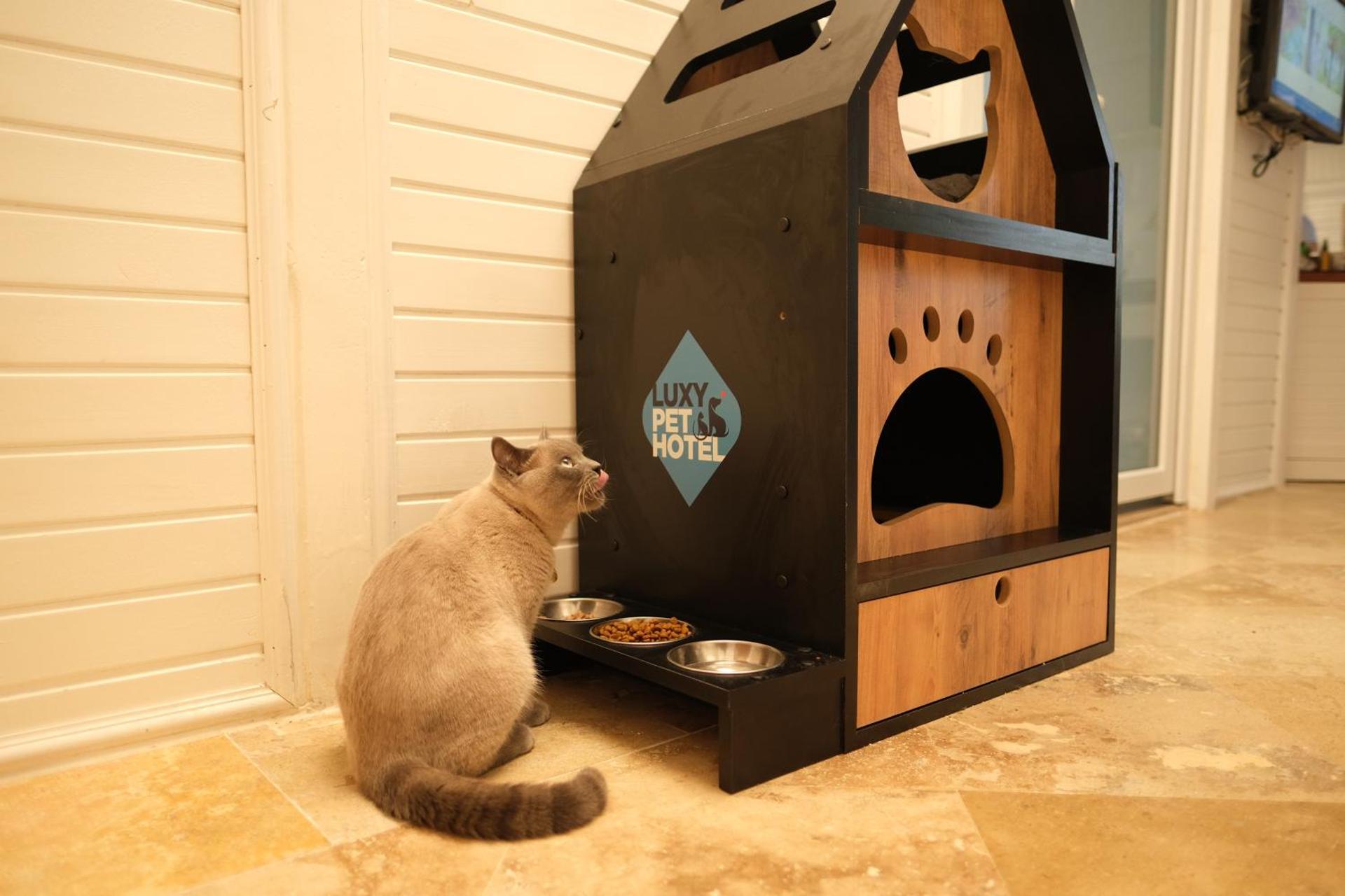 Nirvana Dolce Vita - Ultra All Inclusive - Photo 134