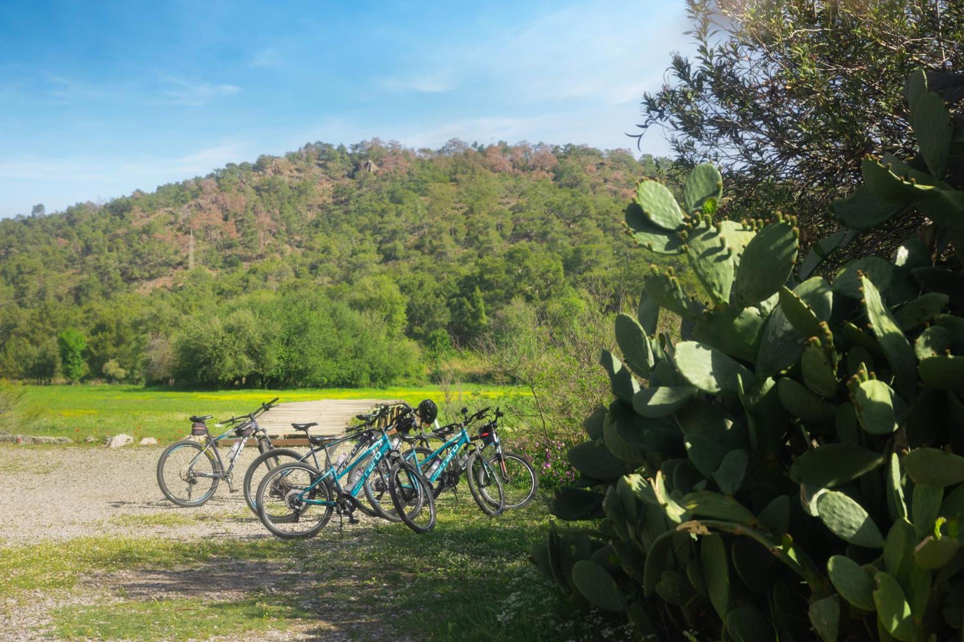 Nirvana Dolce Vita - Ultra All Inclusive - Photo 138