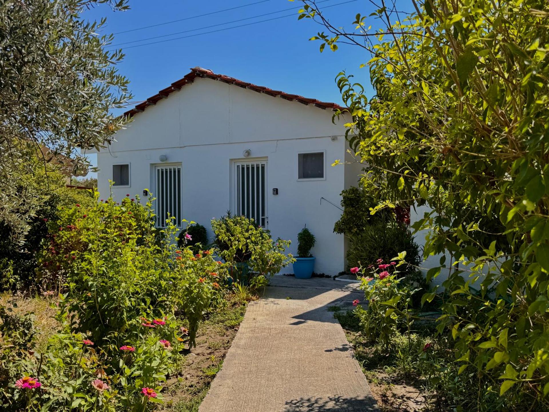 Pension Zoi - Photo 18