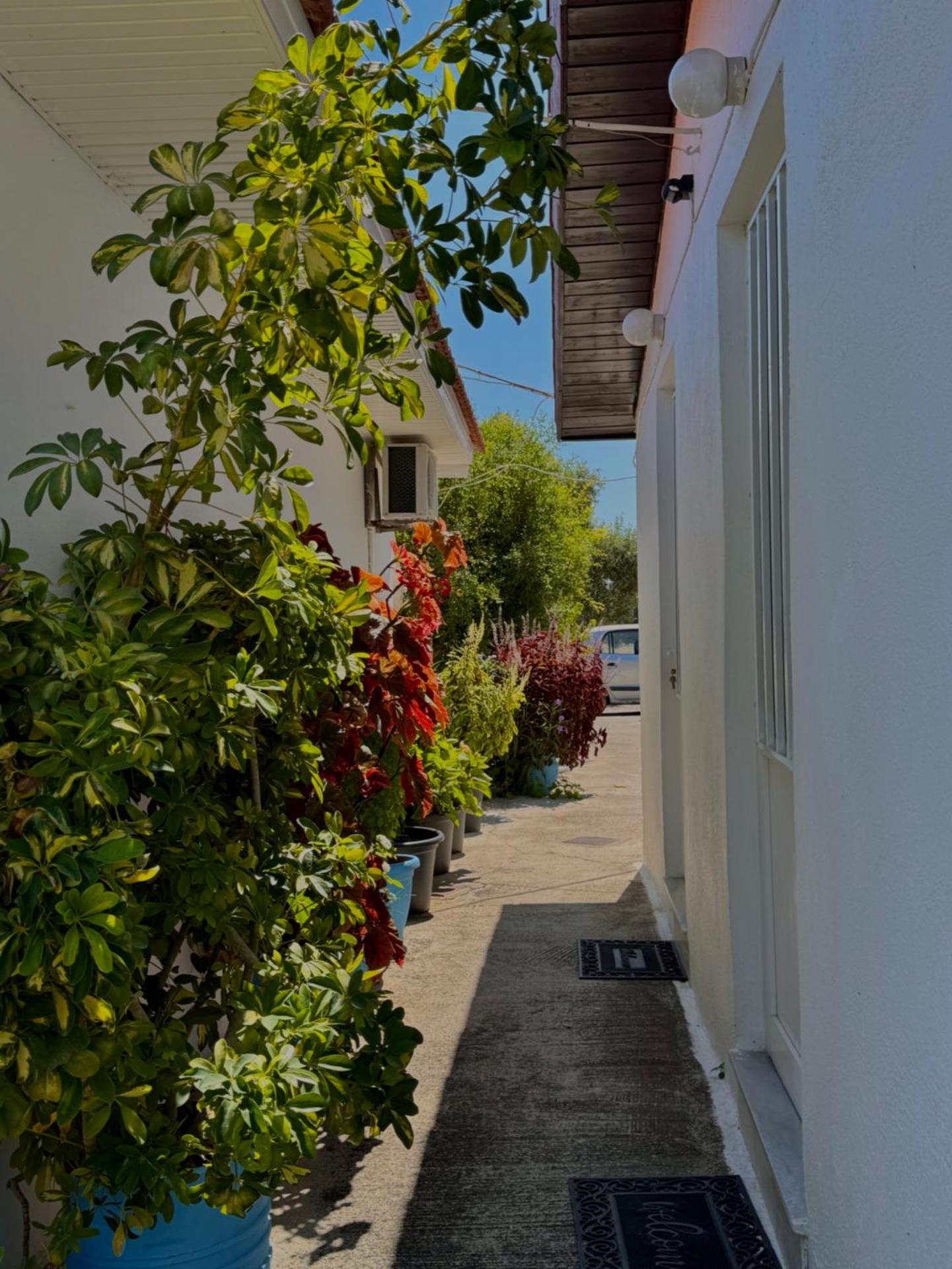 Pension Zoi - Photo 15