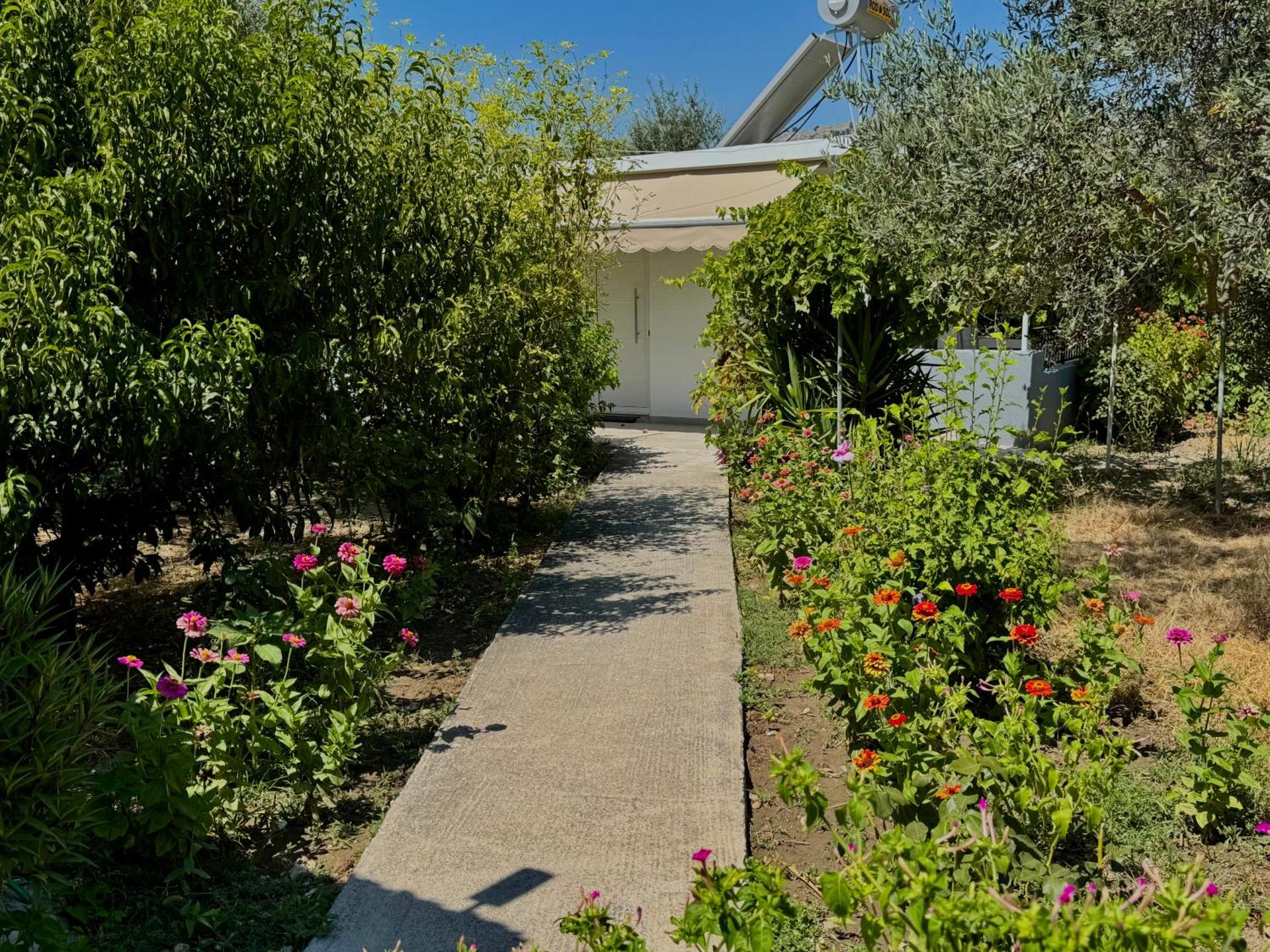 Pension Zoi - Photo 20