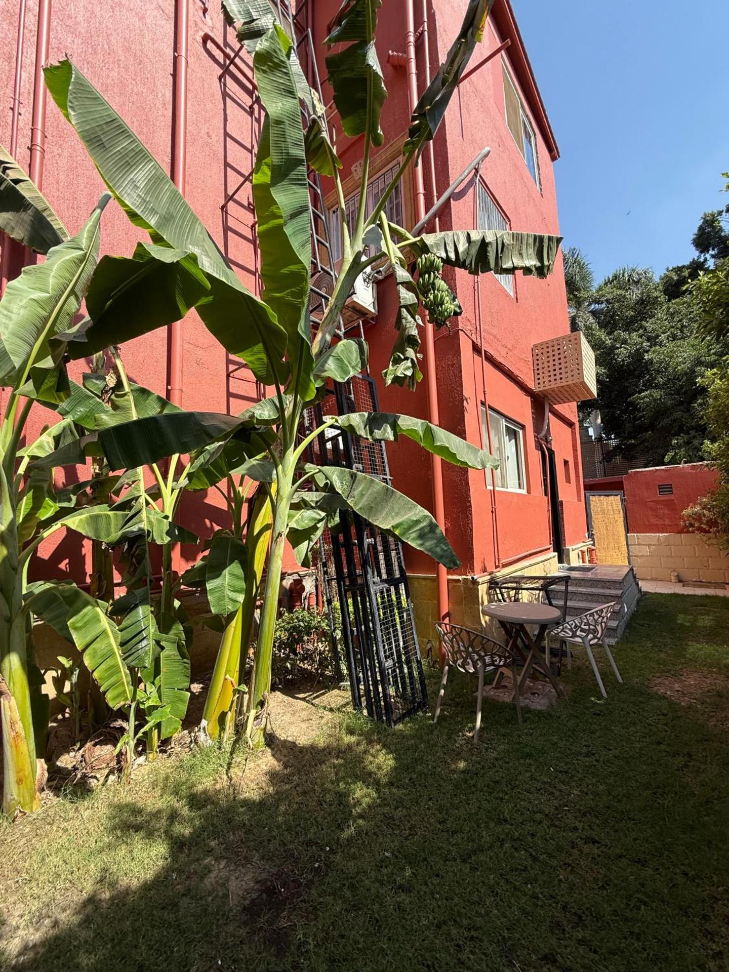 Boutique Residence Canal House-Lemon Spaces Maadi - Photo 28