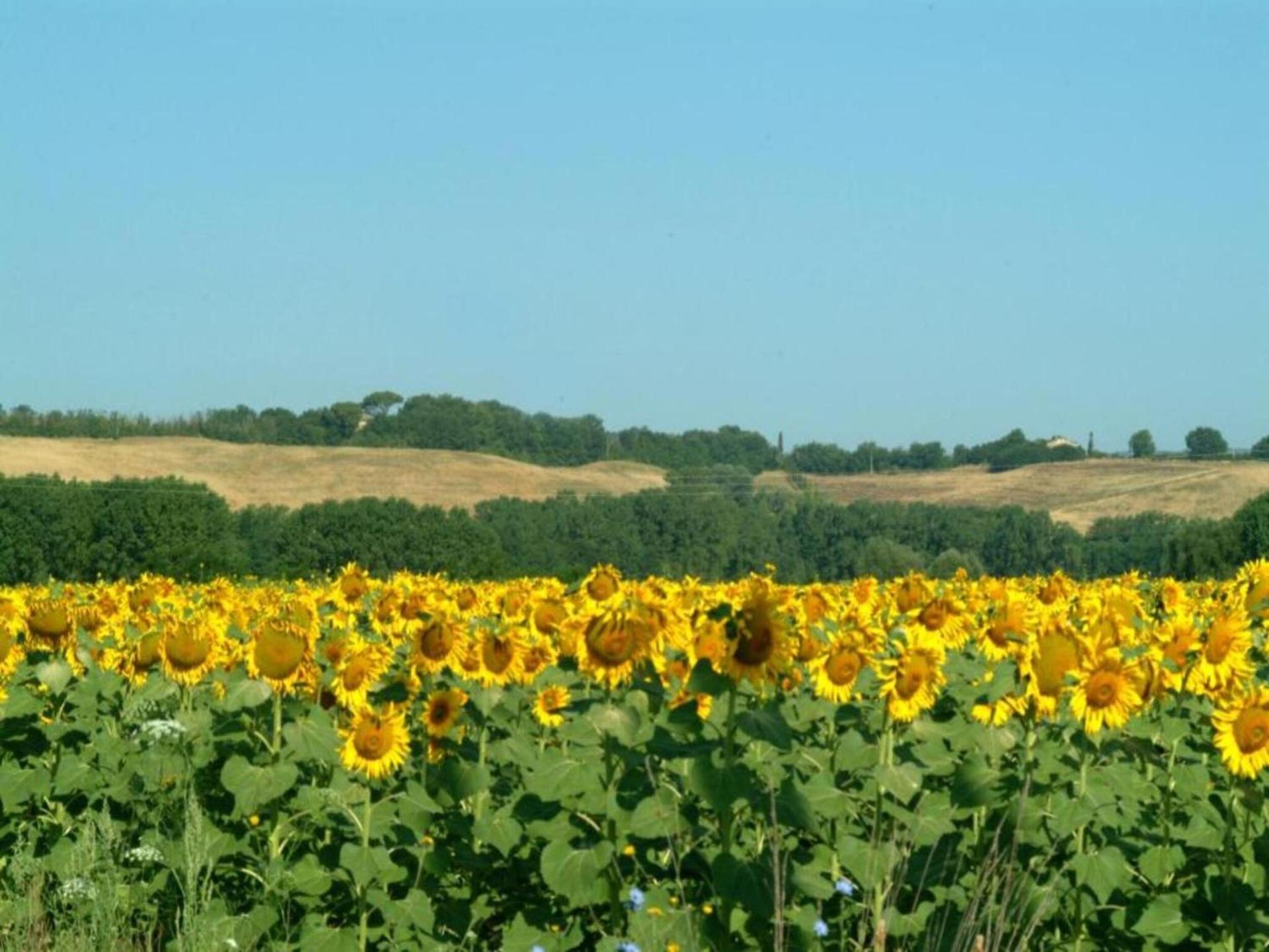 360 degree view over the Tuscan hills - Photo 11