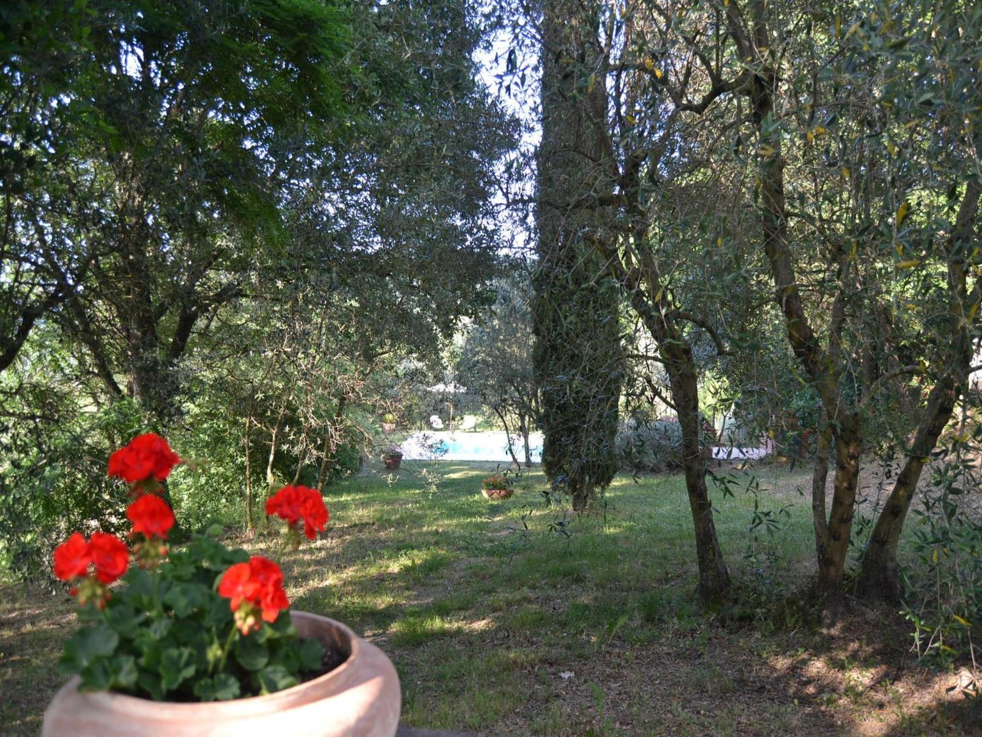 Cottage in Val di Chiana - Photo 7