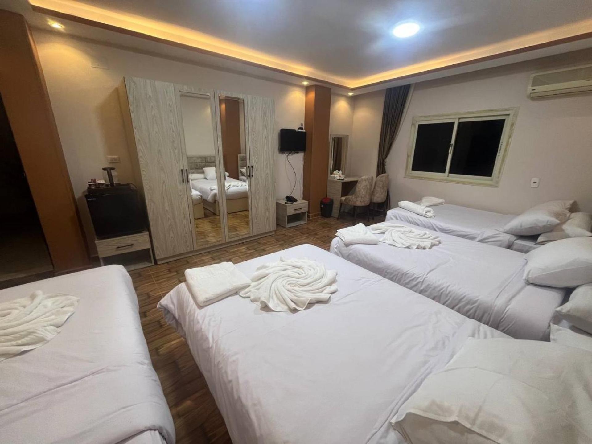 Nefri Pyramids Hotel - Photo 10