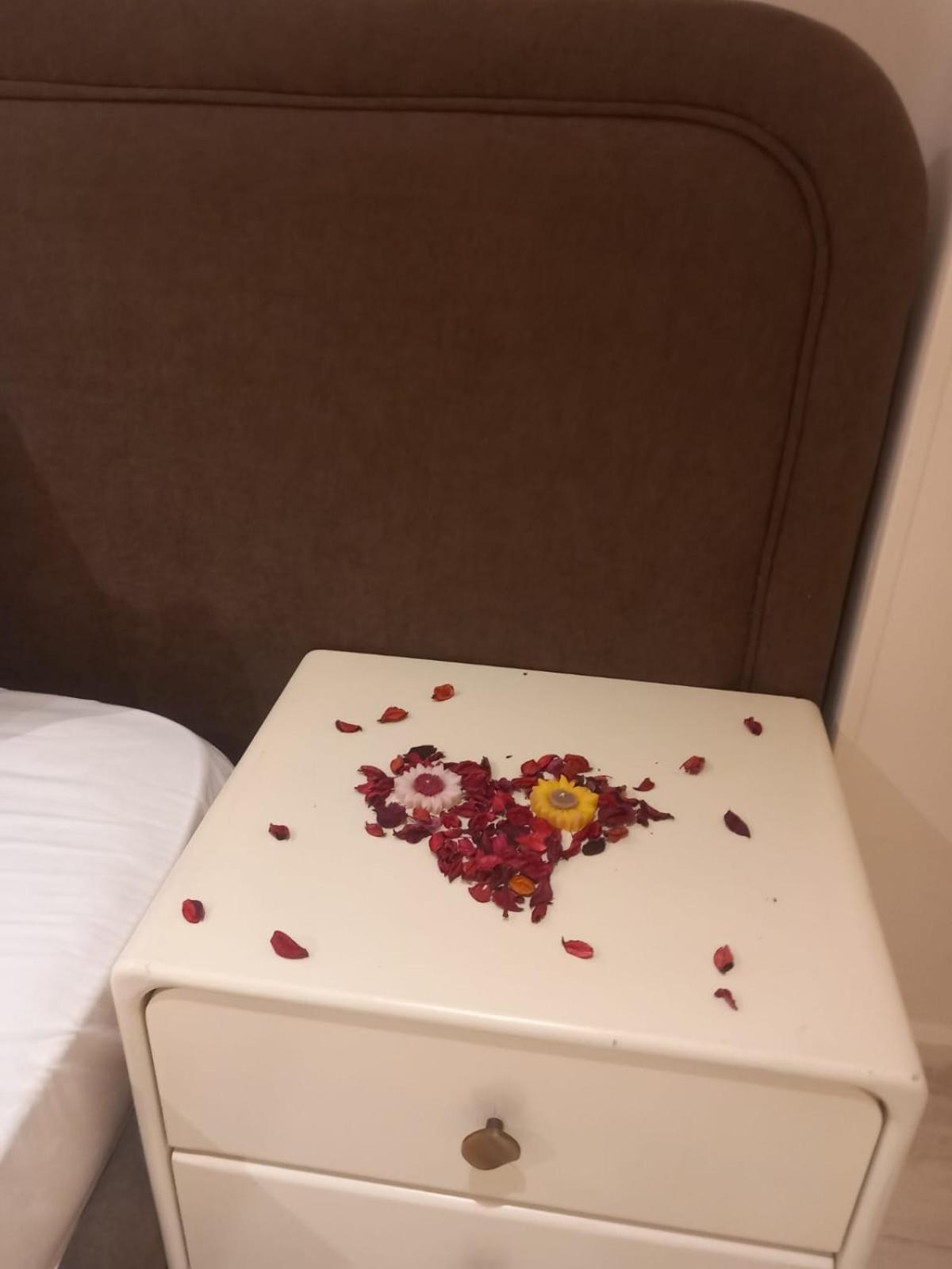 calma cairo - Photo 18