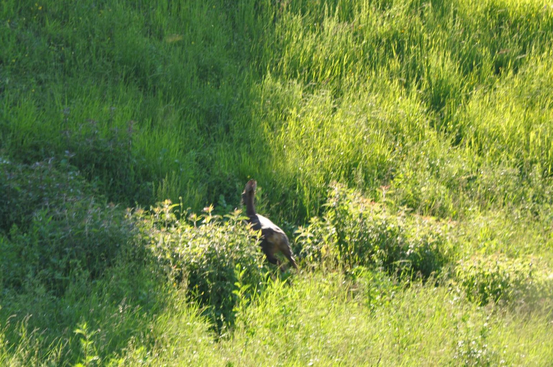 Agriturismo Le Dolci Colline - Photo 20