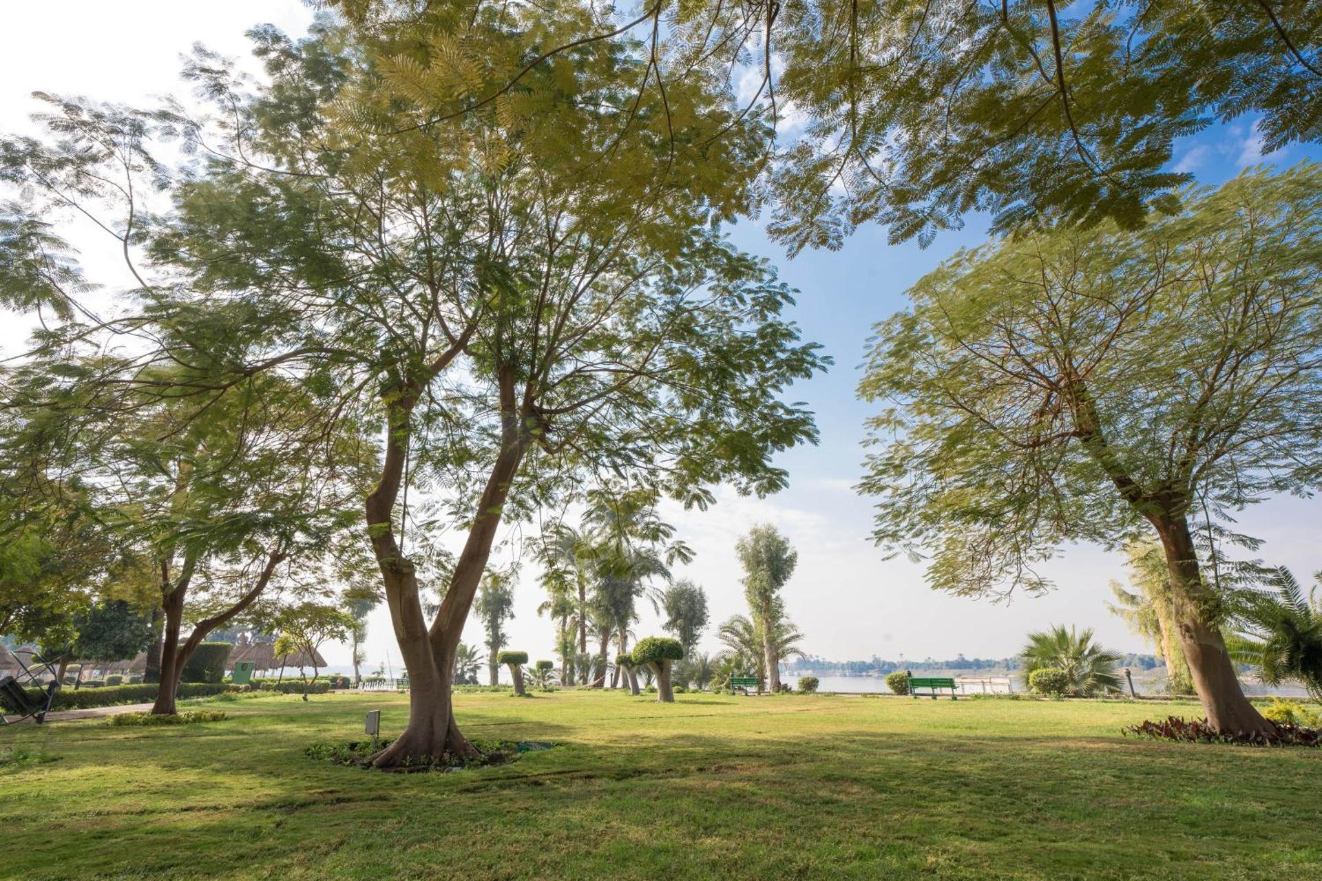 Jolie Ville Hotel & Spa Kings Island Luxor - Photo 118