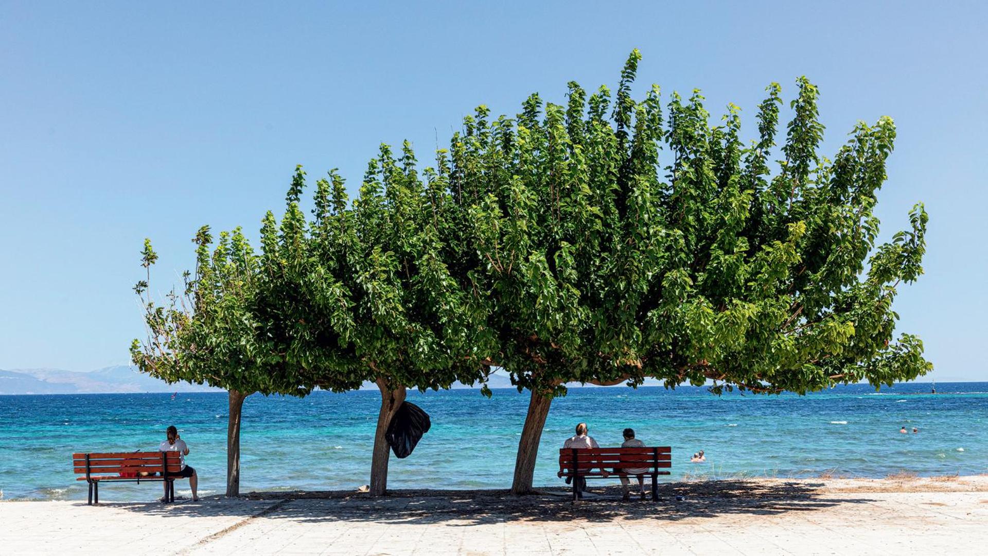 Demi's Apartments Near Athen's Airport - Photo 25