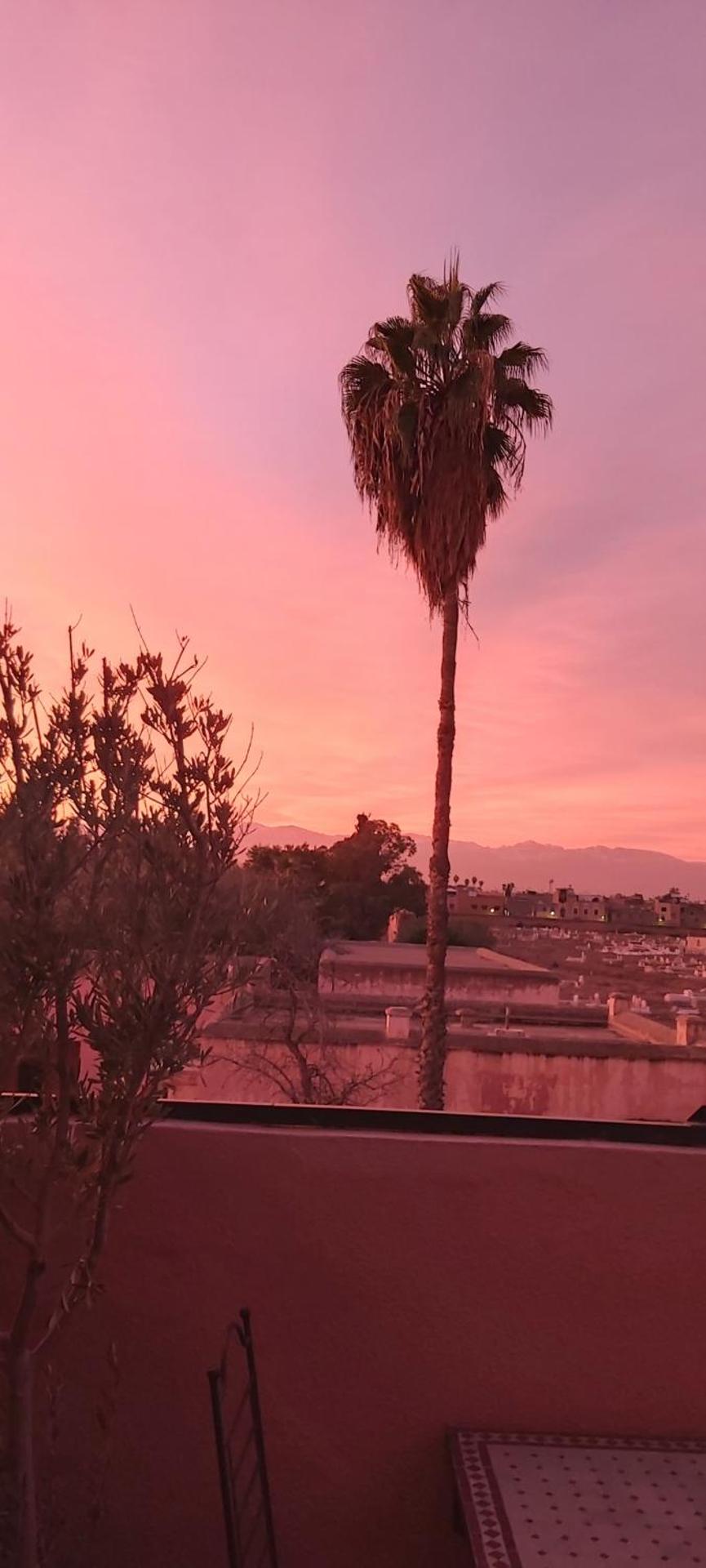 Riad Ajebel - Photo 108