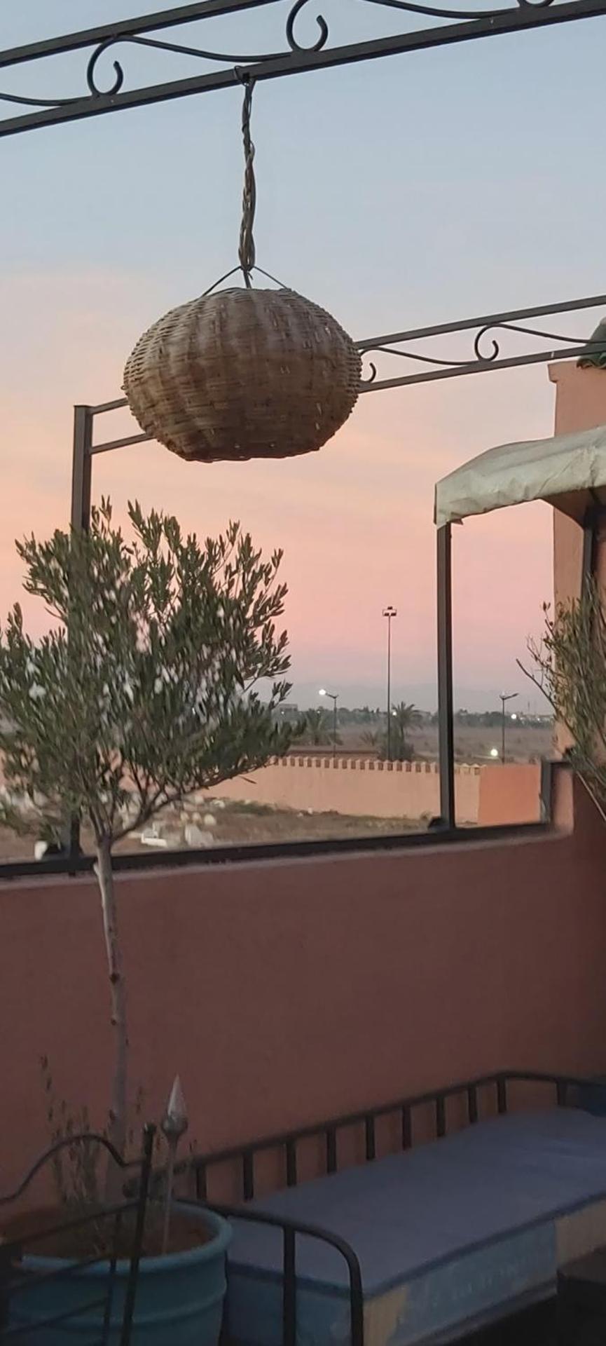 Riad Ajebel - Photo 109