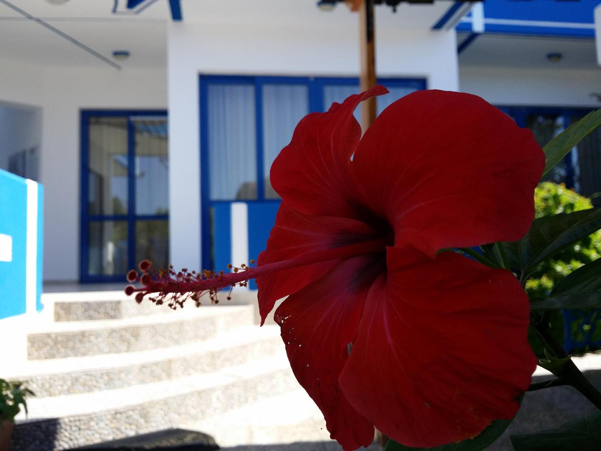 Anastasia Sea View - Photo 205