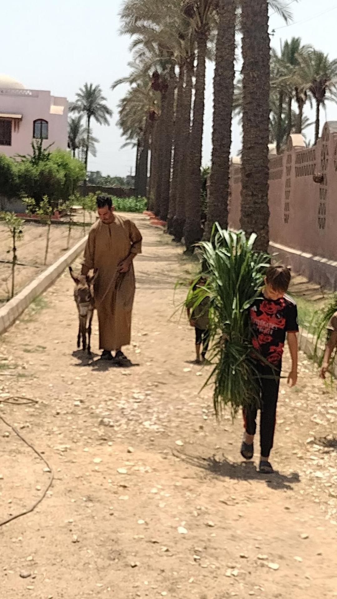 Alf Layla Resort - Photo 40