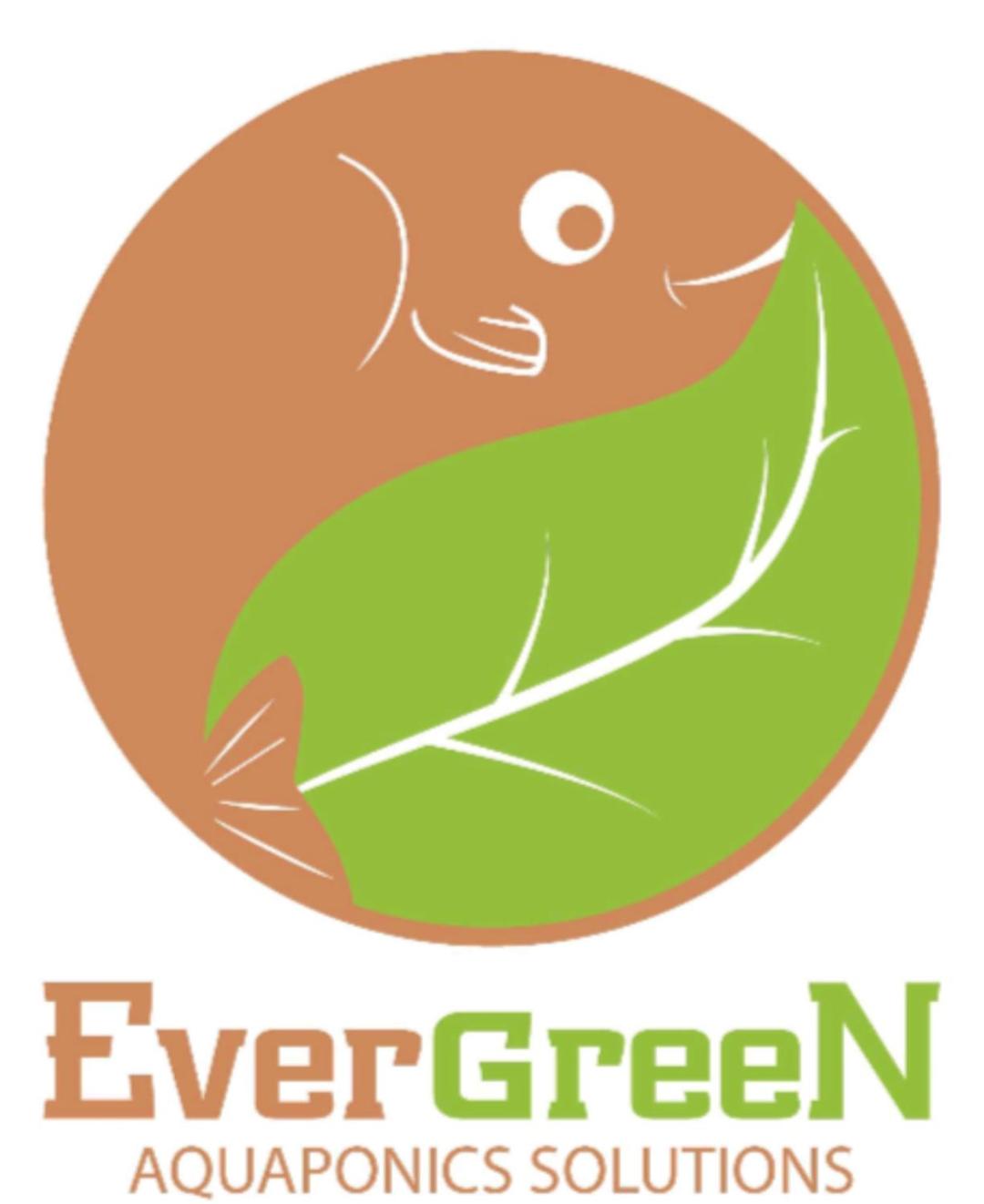 Alf Layla Resort - Photo 8