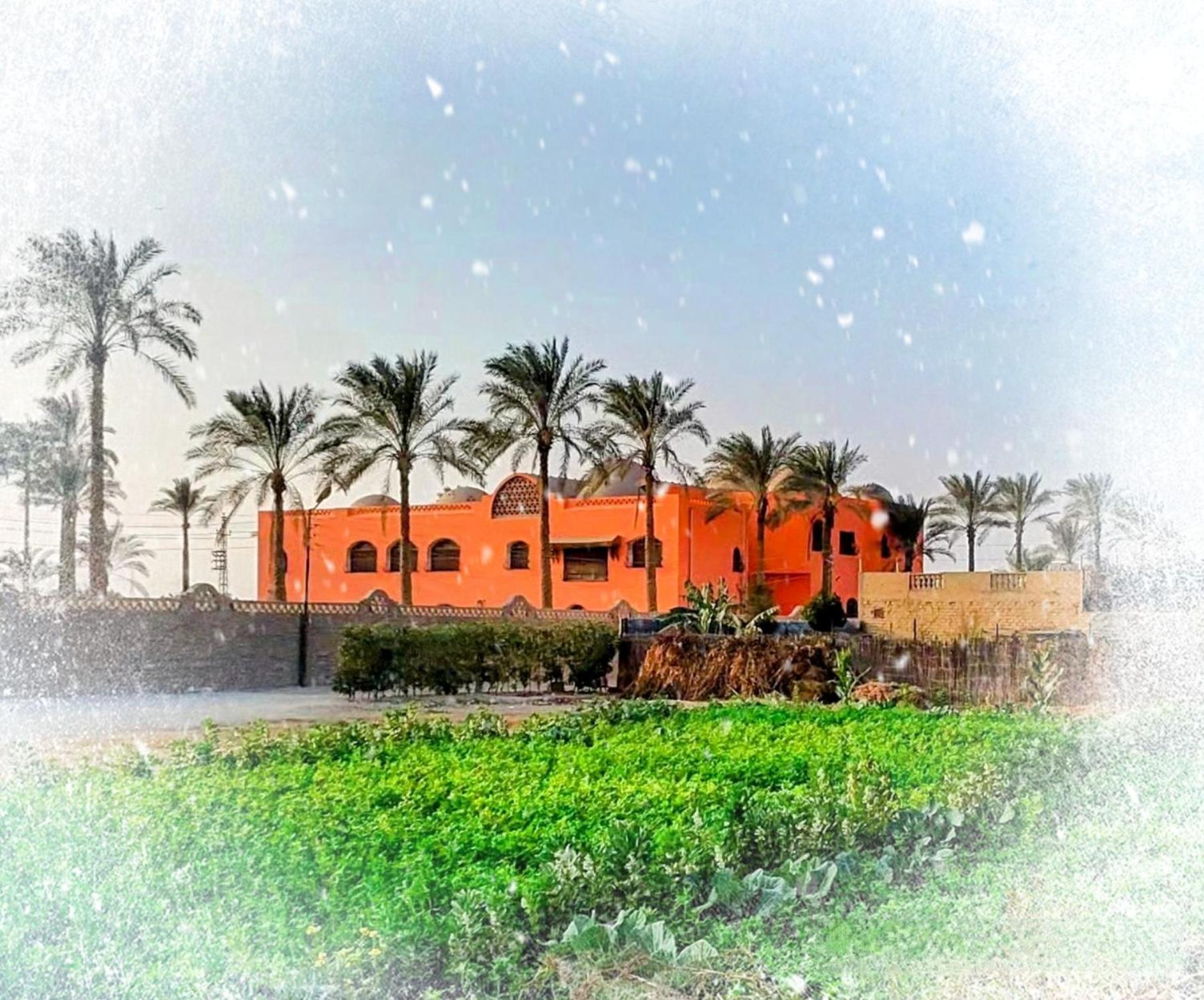 Alf Layla Resort - Photo 7