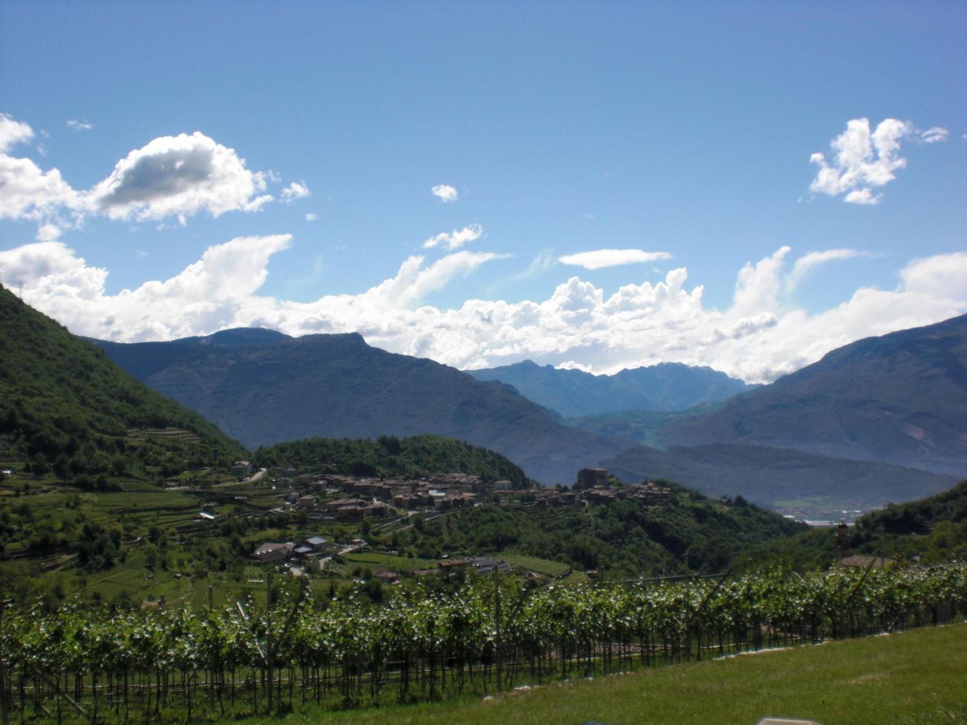 B&B Ai Castagni - Photo 44